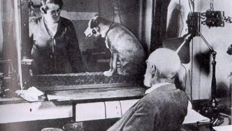 „Câinele lui Pavlov”. Experimentul care a revoluționat psihologia