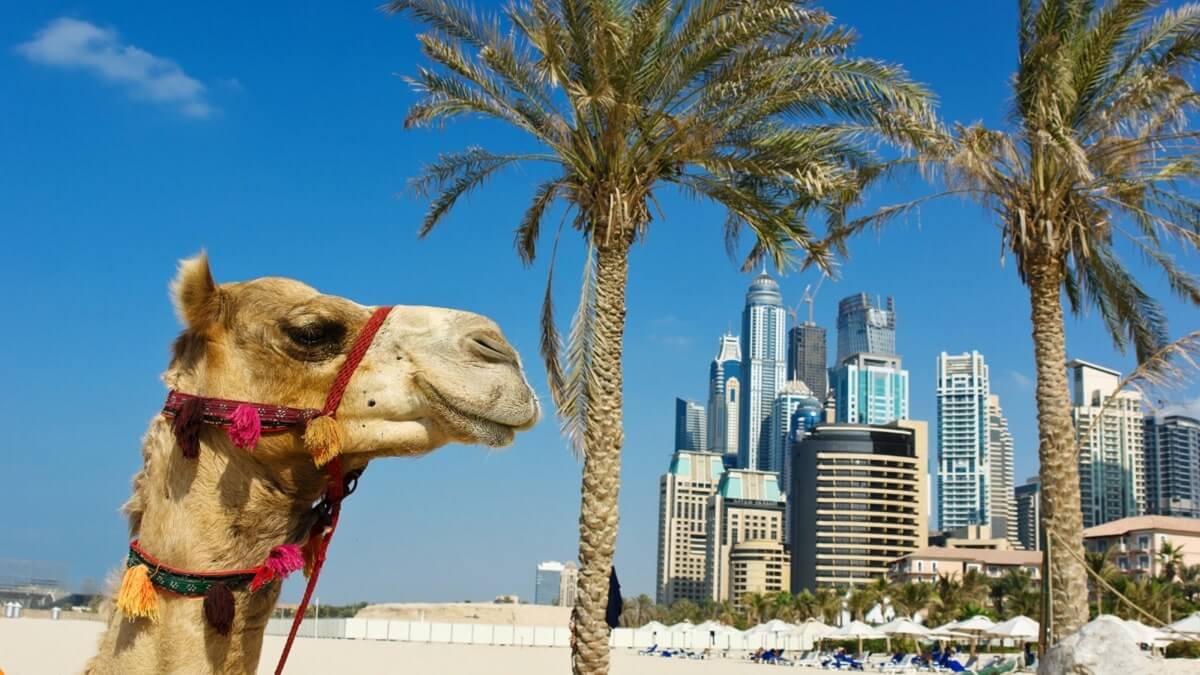 În ce țară e Dubai? Ce este interzis să faci în Dubai?