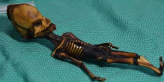 Povestea tristă a mumiei extraterestre din Chile. Ce au descoperit cercetătorii