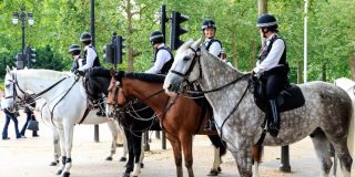De ce poliția folosește cai în orașe. Puțini știu motivul incredibil